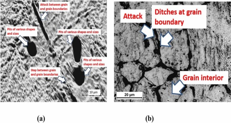 تاریخچه و انگیزه توسعه (مقابله با خوردگی بین دانه‌ای)